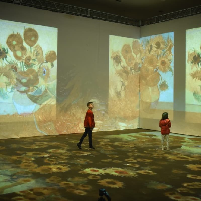 Muestra inmersiva de Van Gogh (Hall del Teatro)